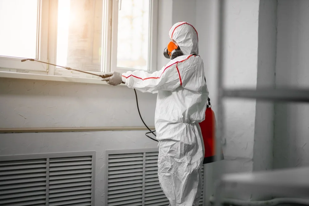 Professional mold remediation services in Boswell, IN